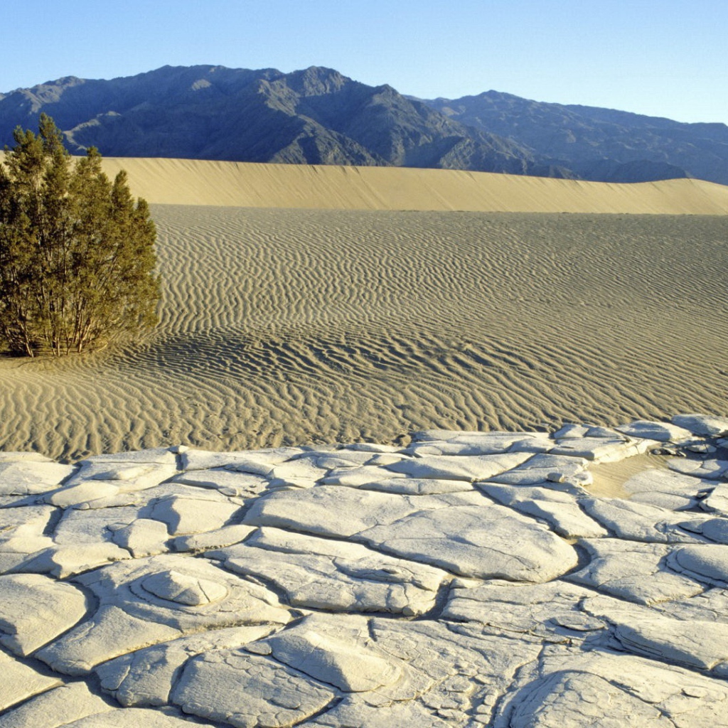Пустынный пейзаж с горами