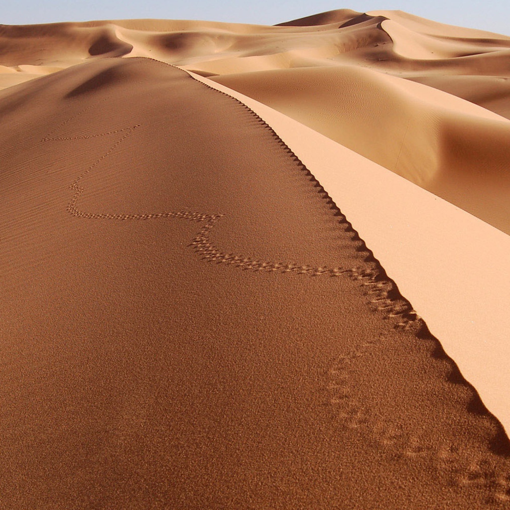 Следы на песке в пустыне