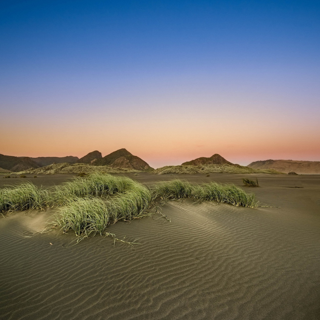 Серый пейзаж пустыни