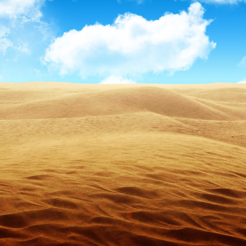 Песчаная пустыня 