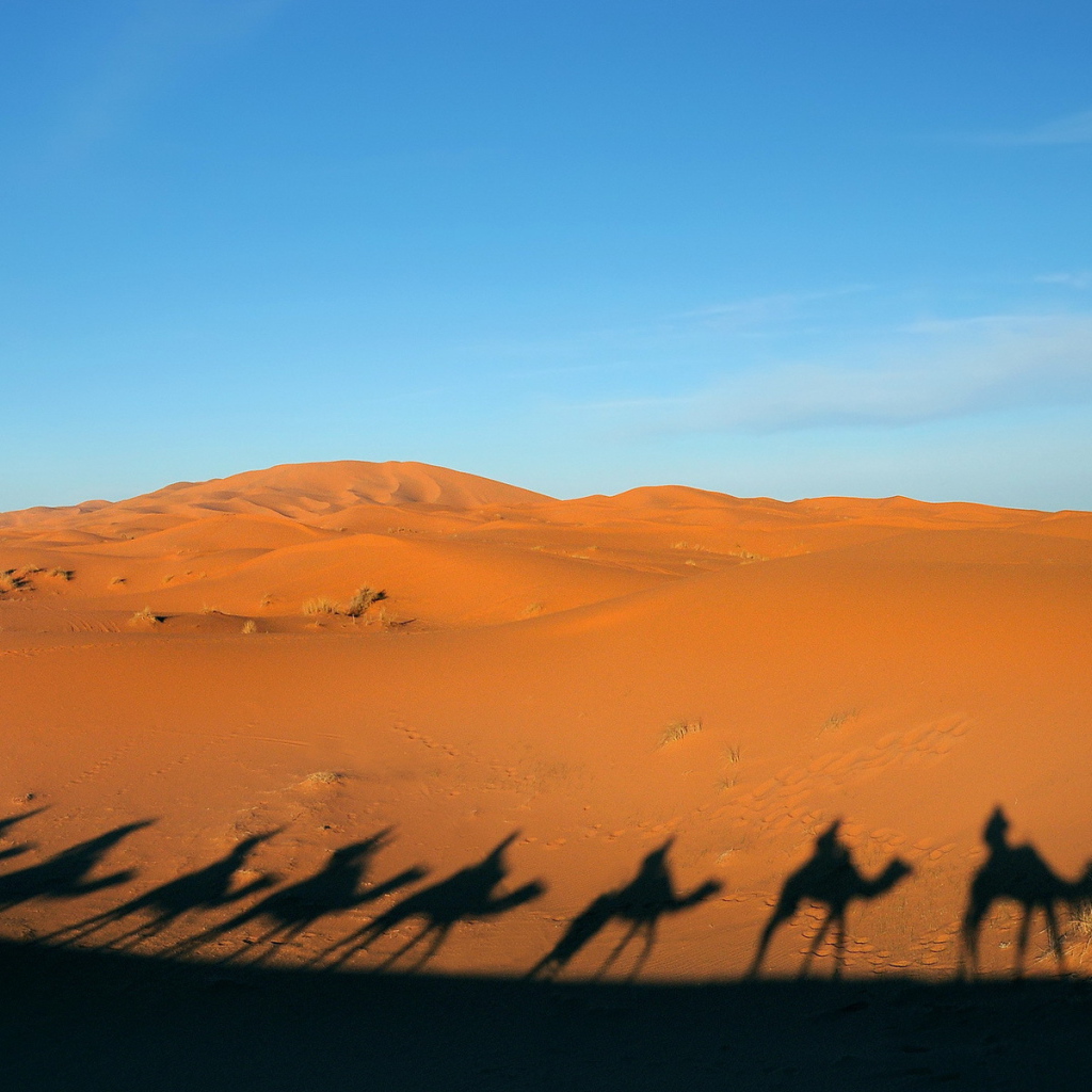 Тени каравана в пустыне
