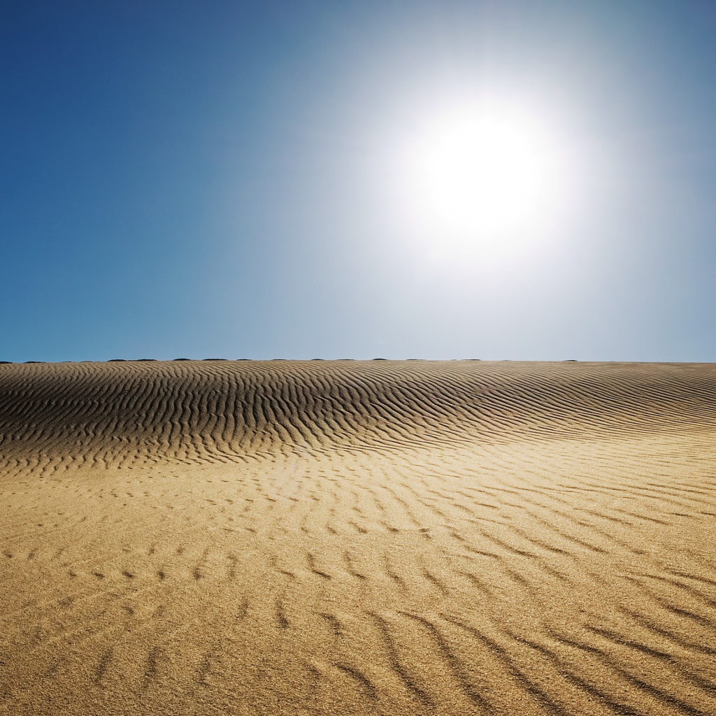 Sunny desert