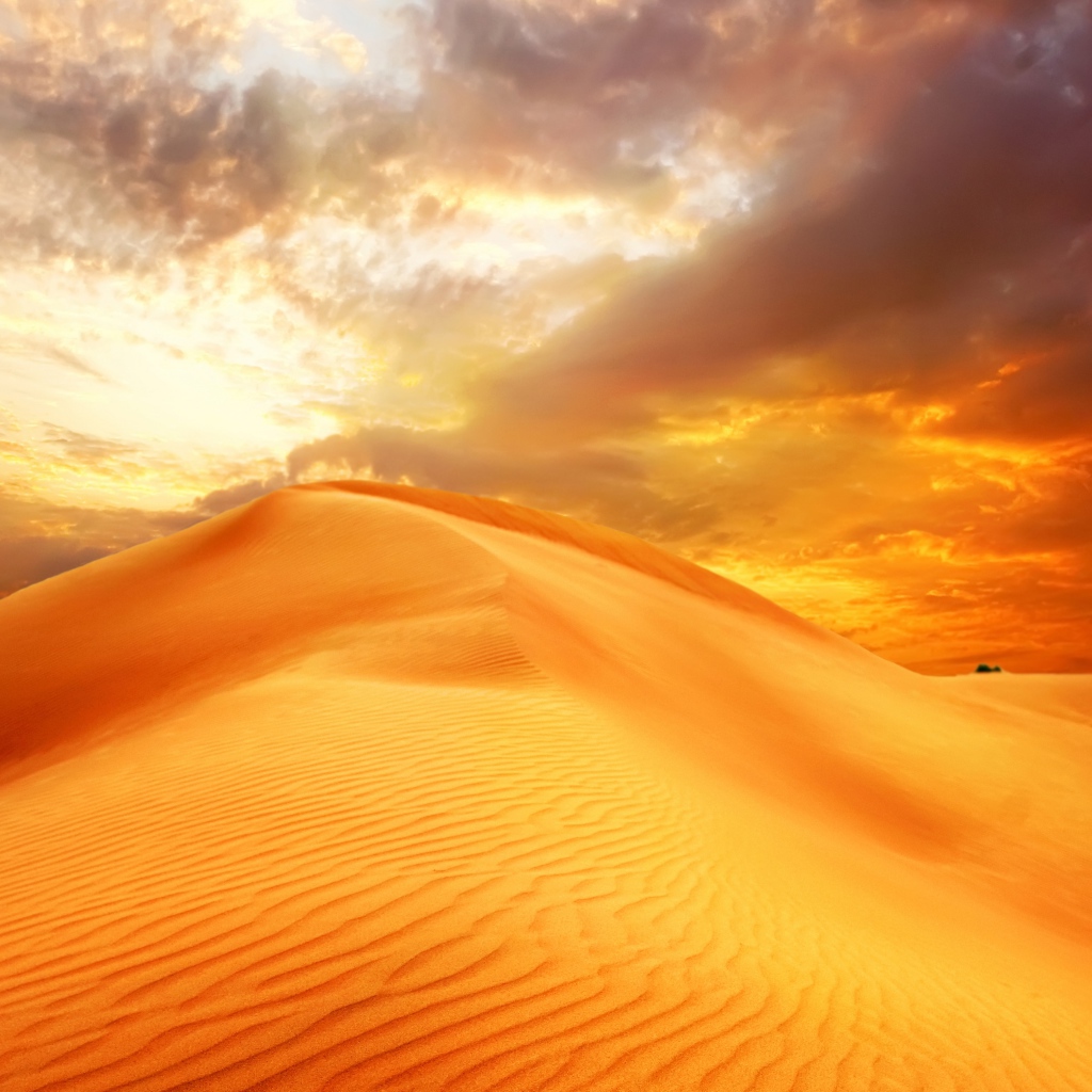 Золотой песок пустыни