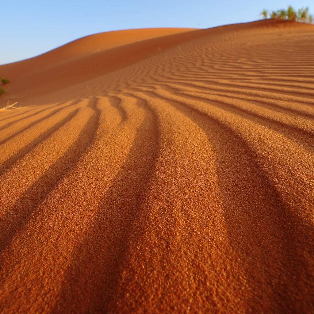 Волны на песке