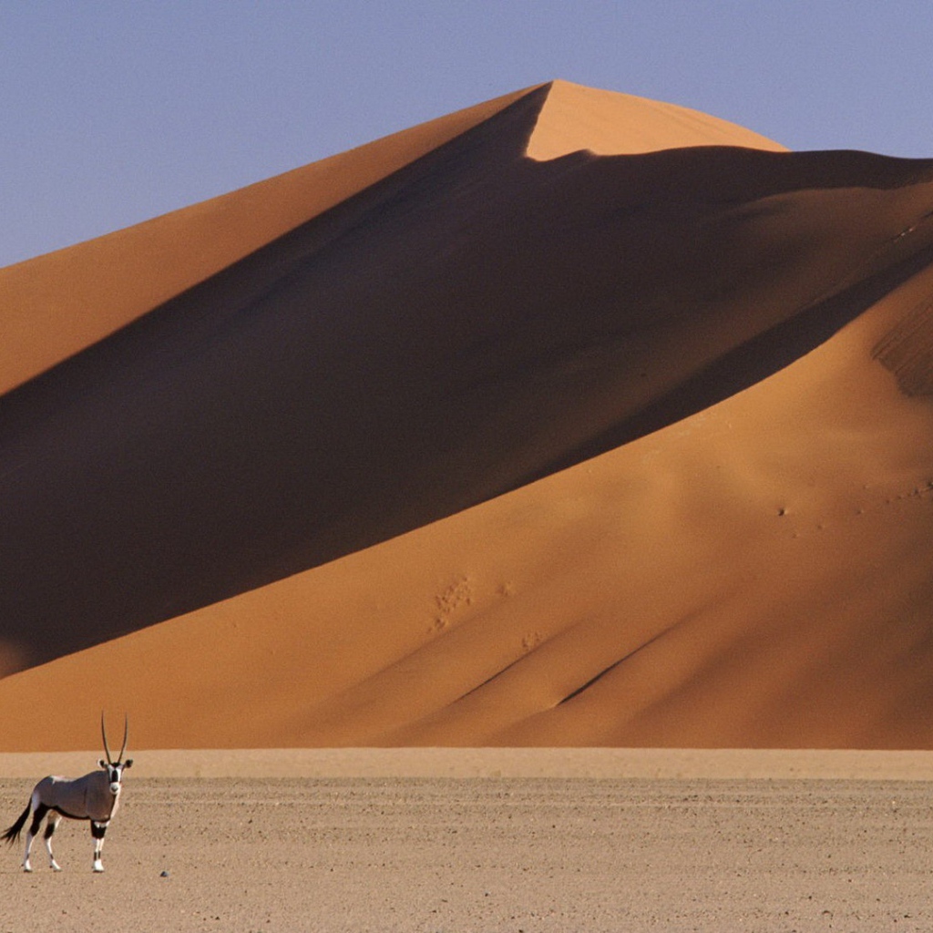 Пустыня Намибии