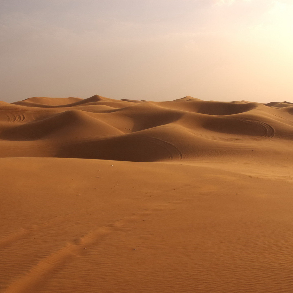 Следы на песке