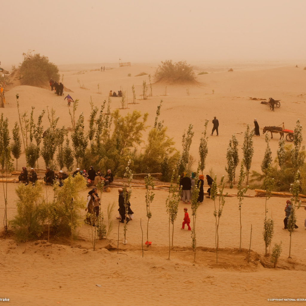 Жизнь в пустыне