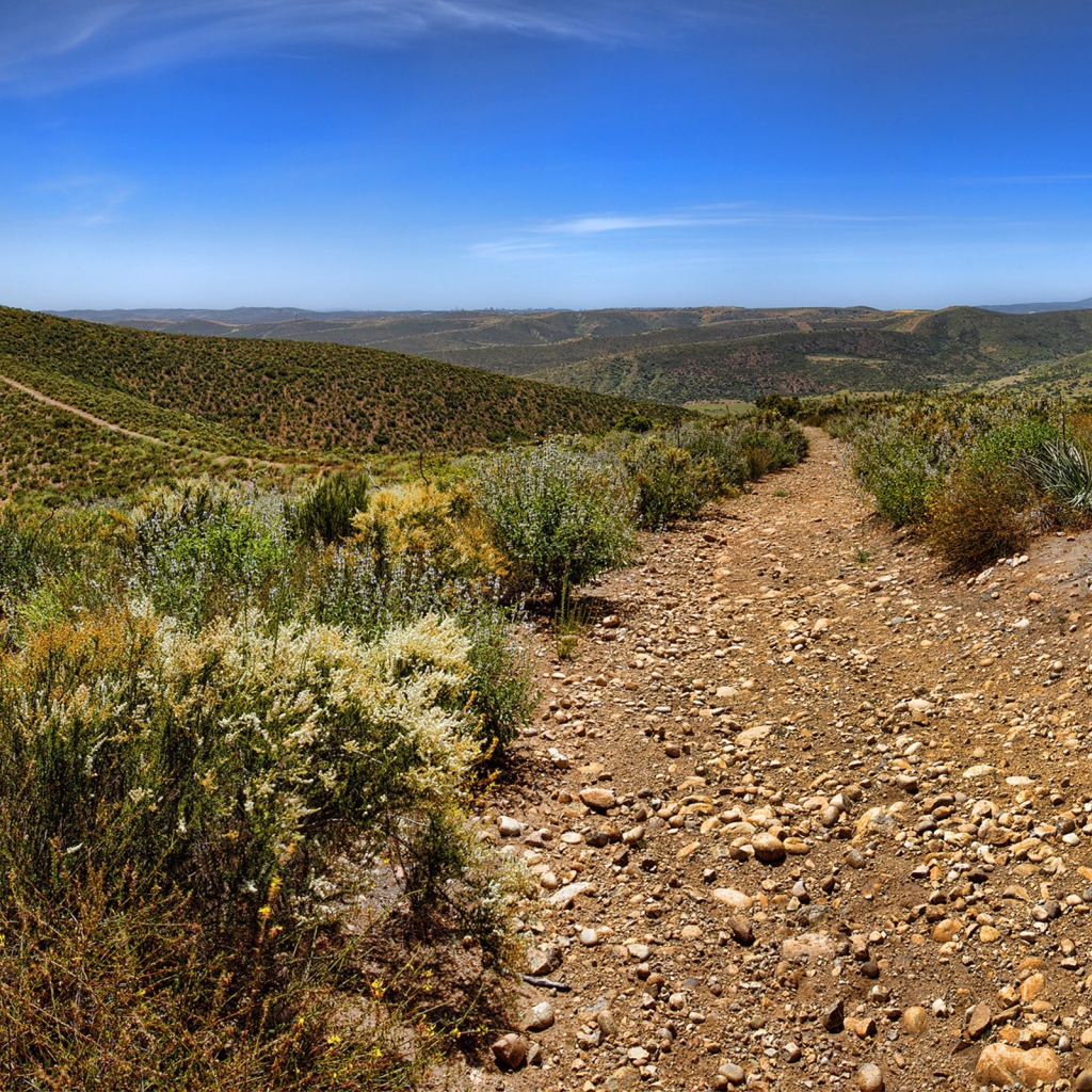 Каменистая дорога в пустыне