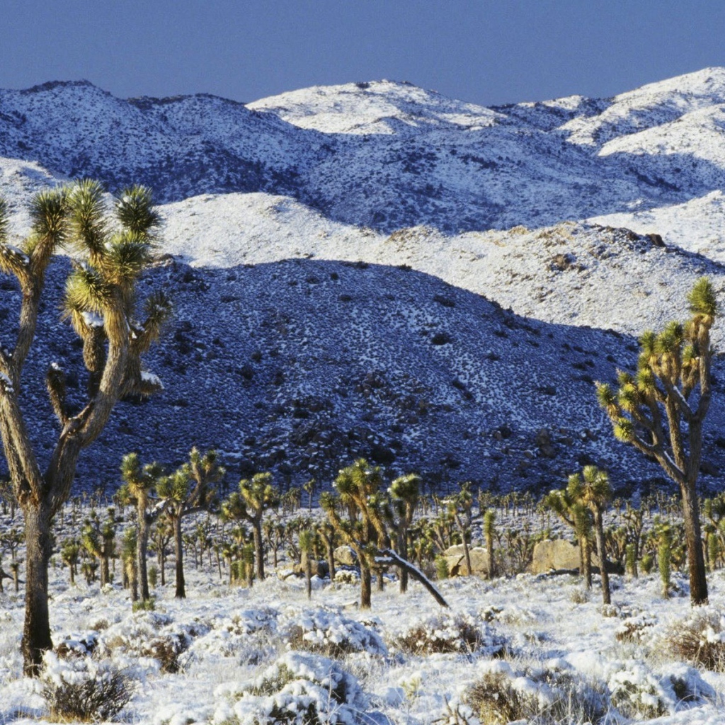 Покрытая снегом пустыня