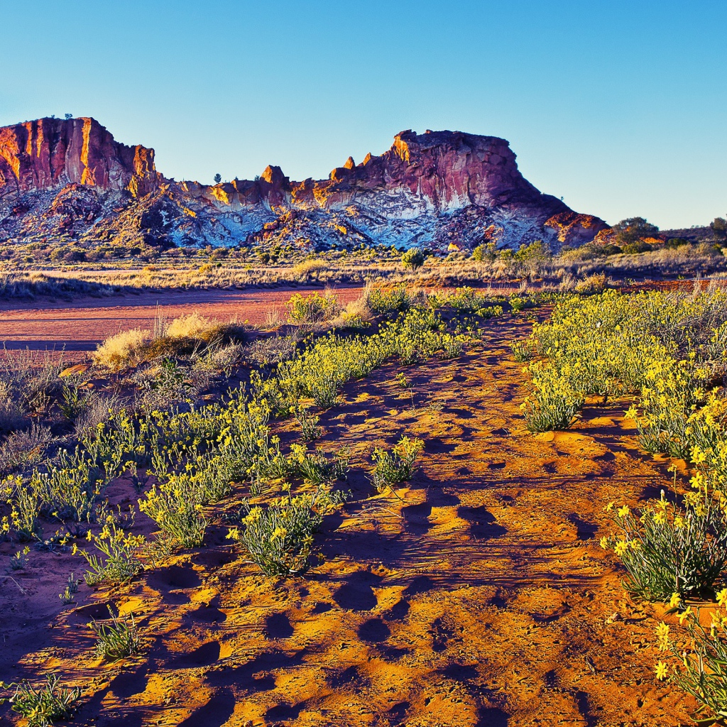 Закат в пустыне