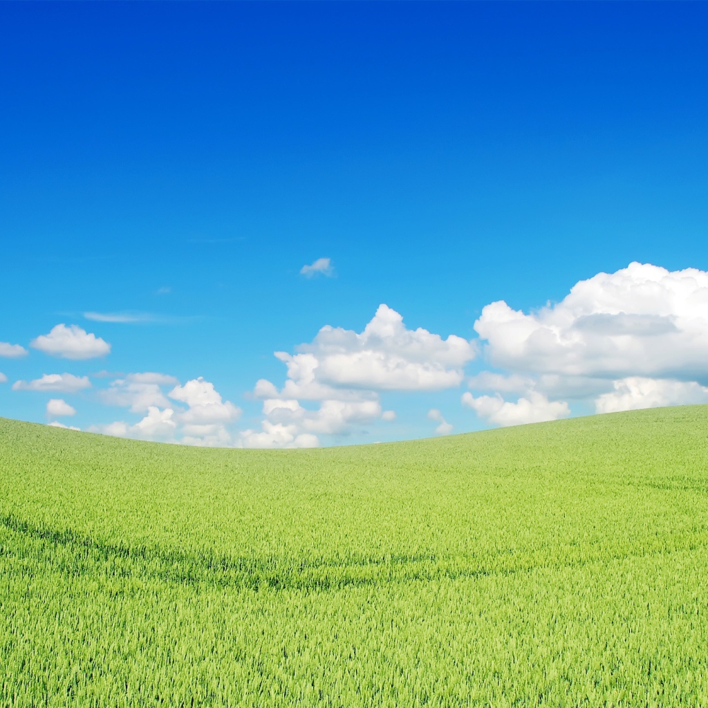 Прекрасный зеленый пейзаж