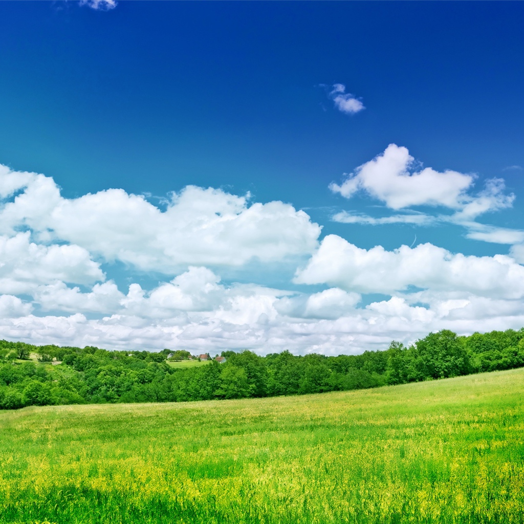 Прекрасная природа