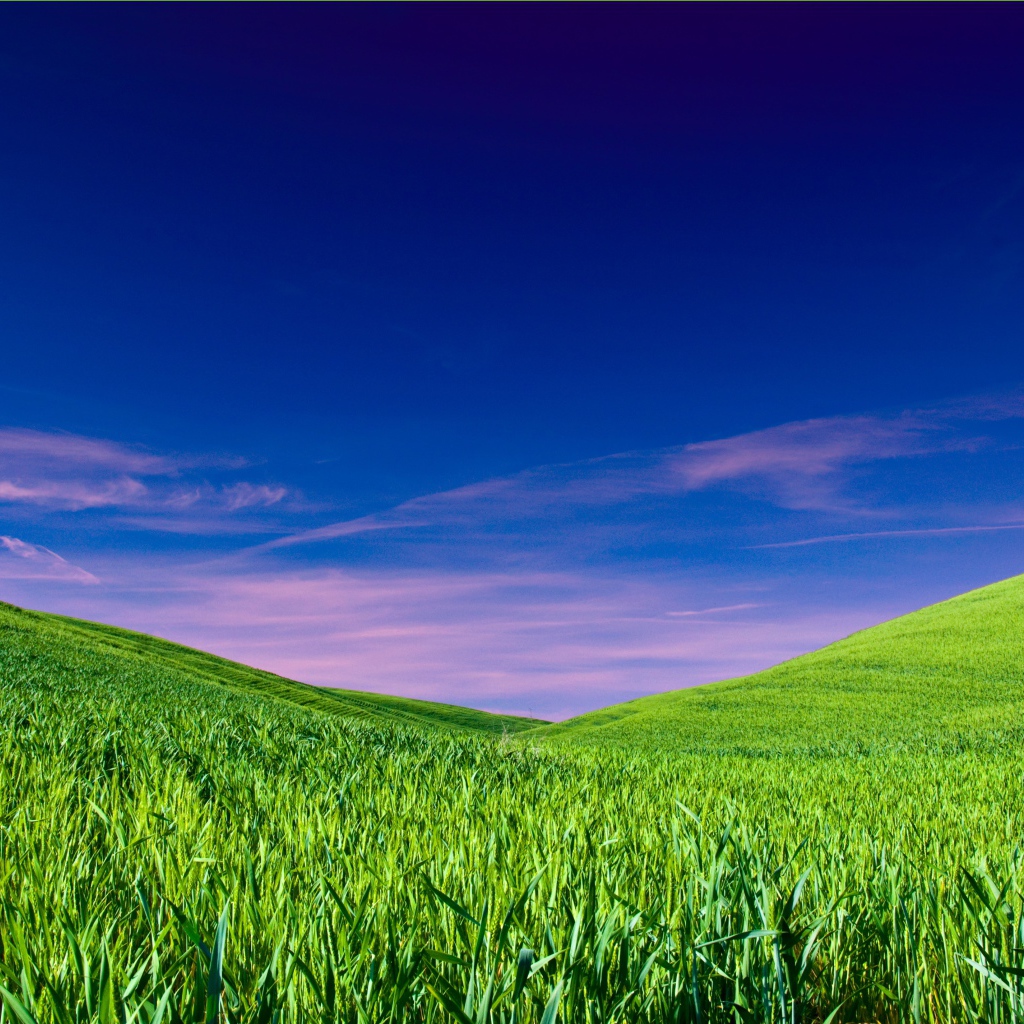 Чистое небо над полем