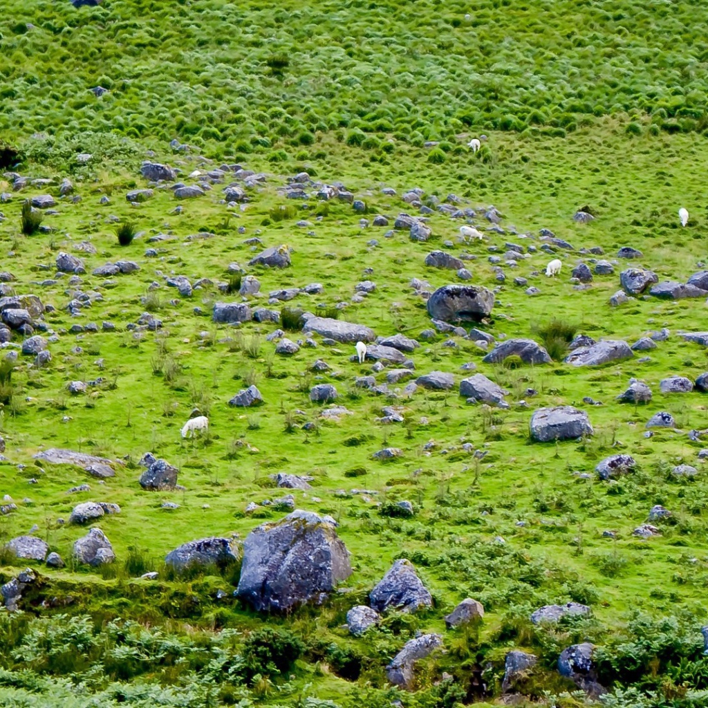 Английская природа