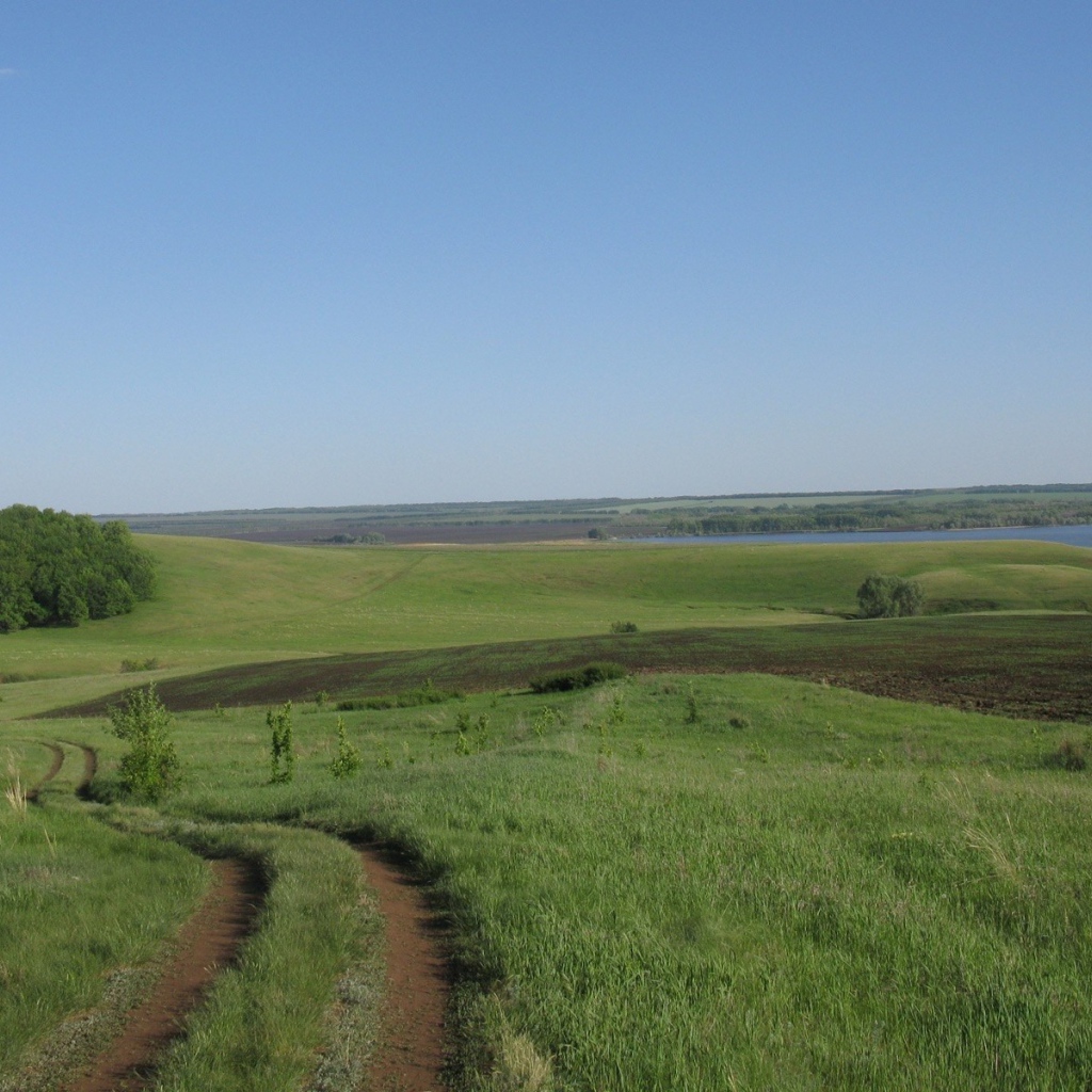 Поле и река