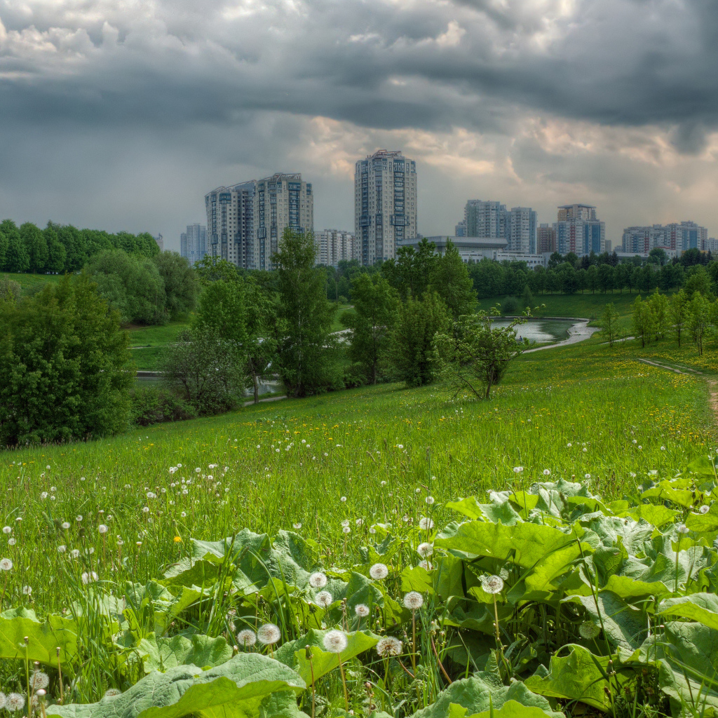 Поле на окраине города