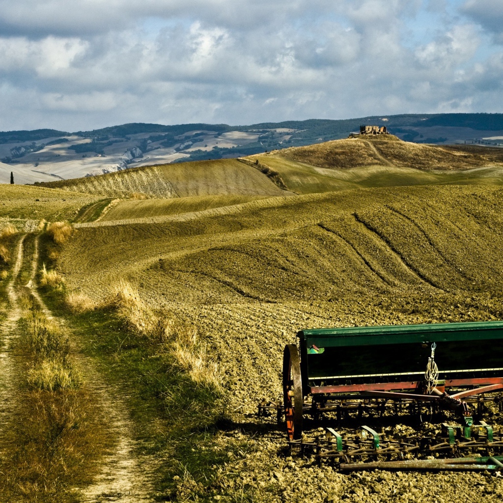 Засеянное поле весной