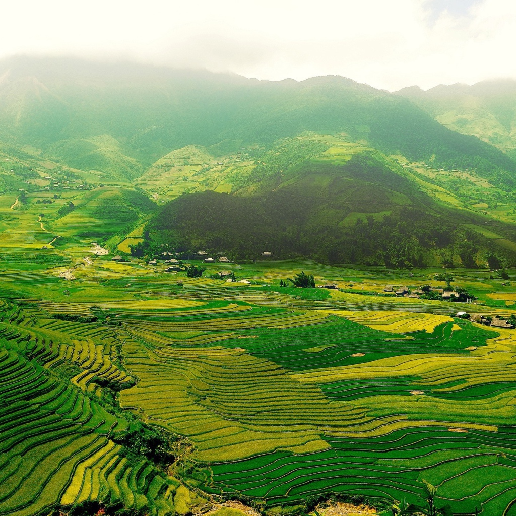 Зеленые поля в горной долине