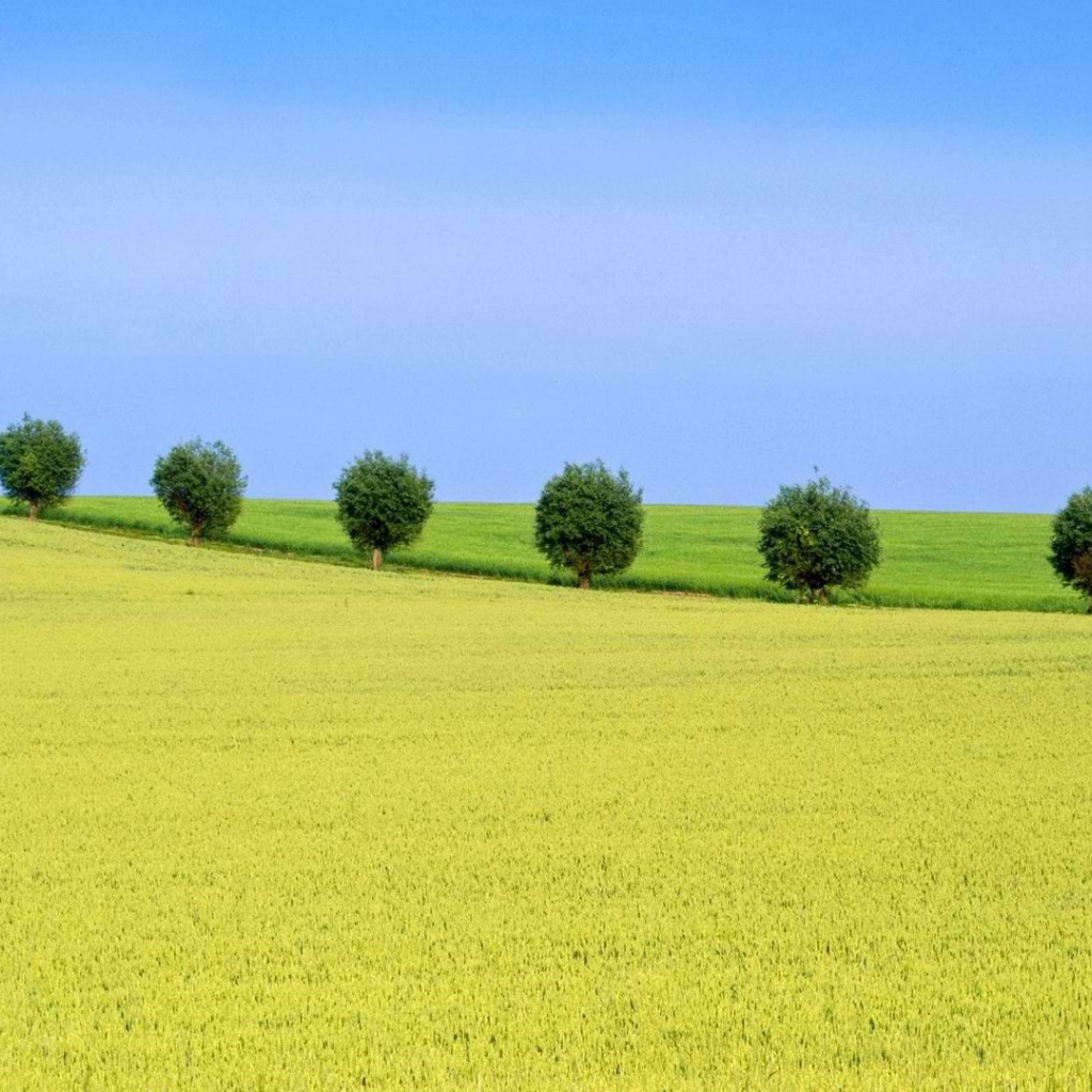 Природа Швеции