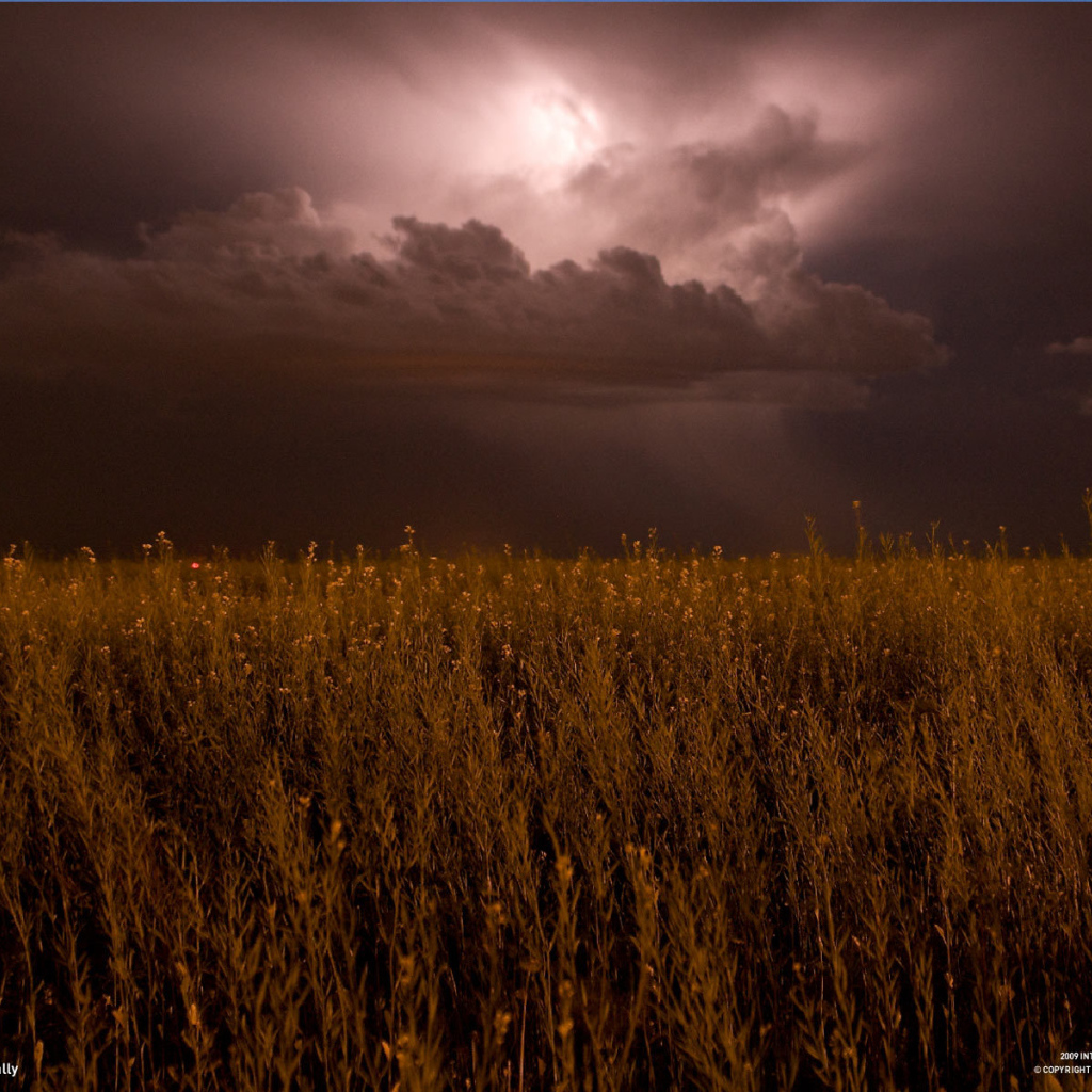 На поле надвигается гроза