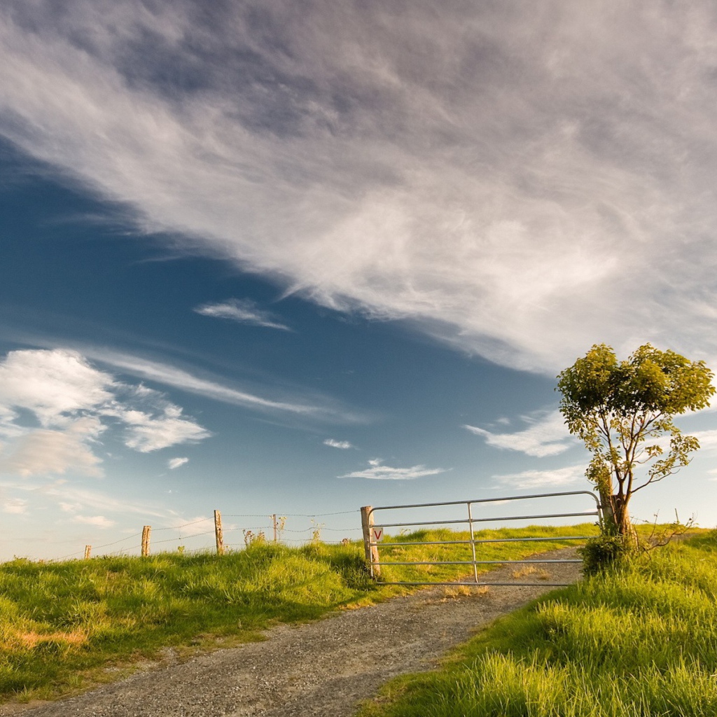 Частная собственность
