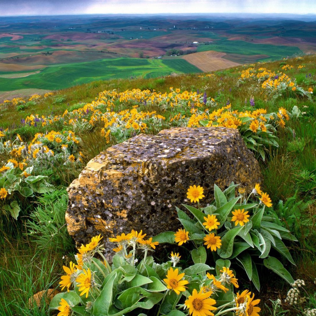 Пейзаж штата Вашингтон