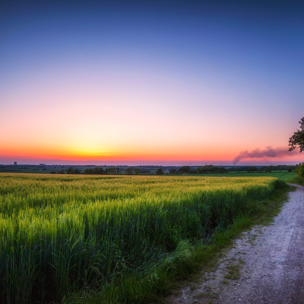 Дорога по краю поля