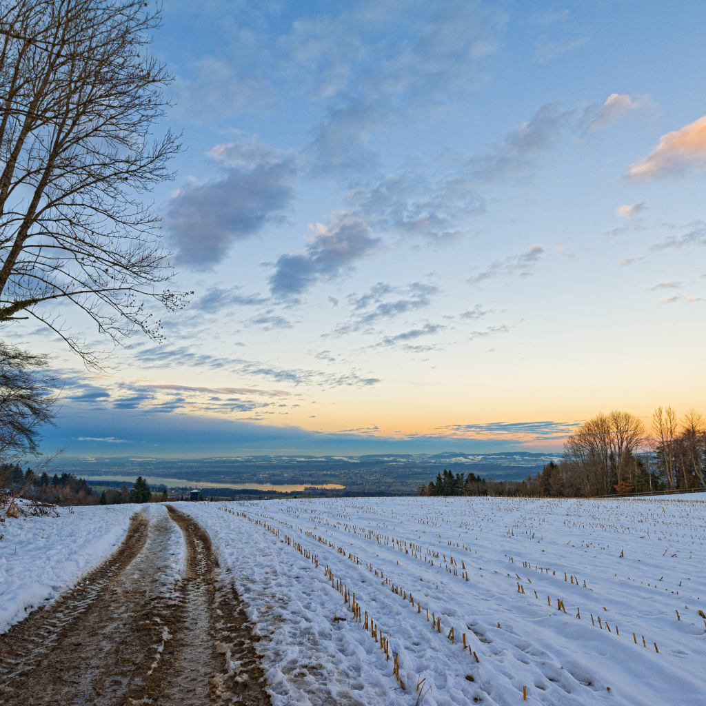 Дорога в зимнем поле