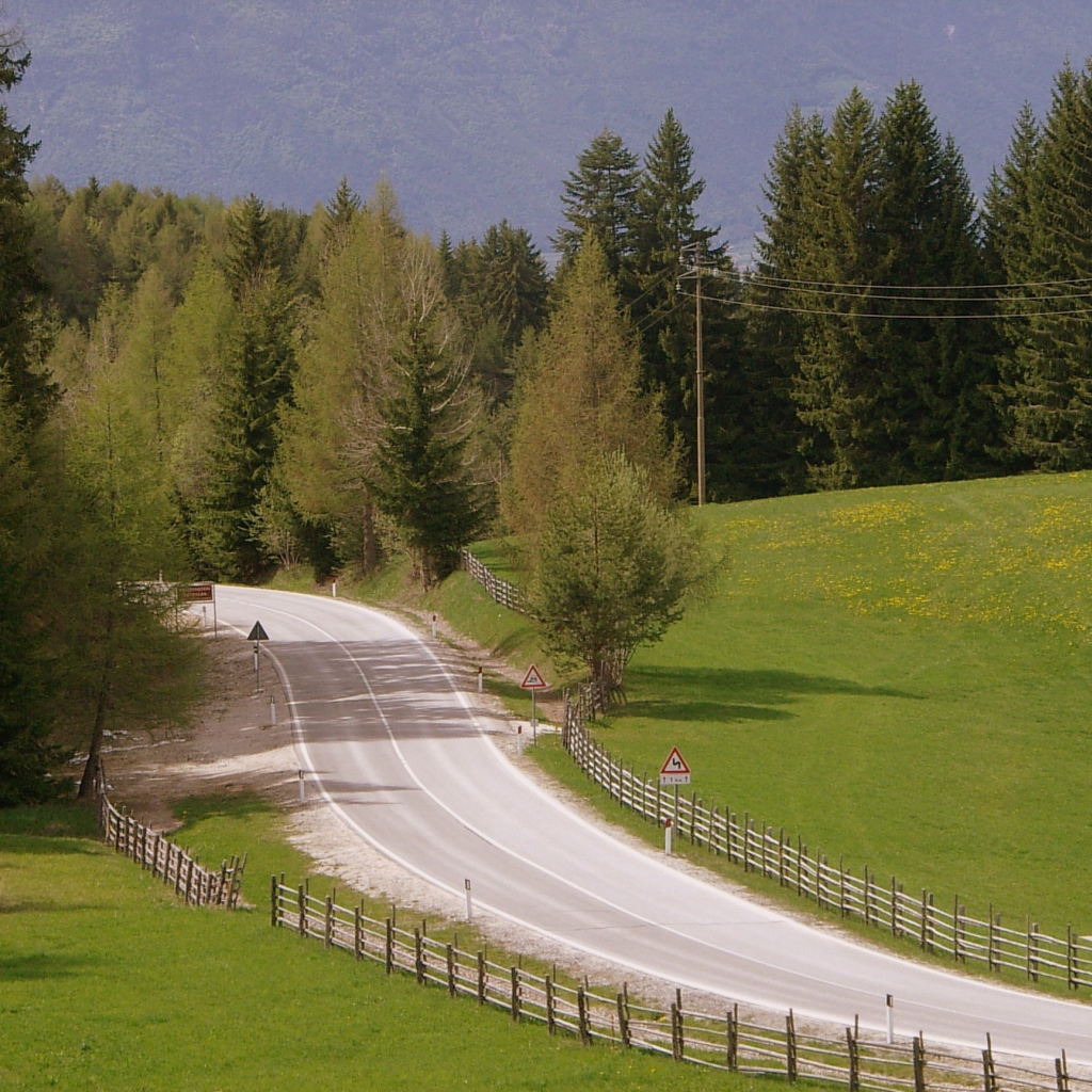 Забор вдоль дорги