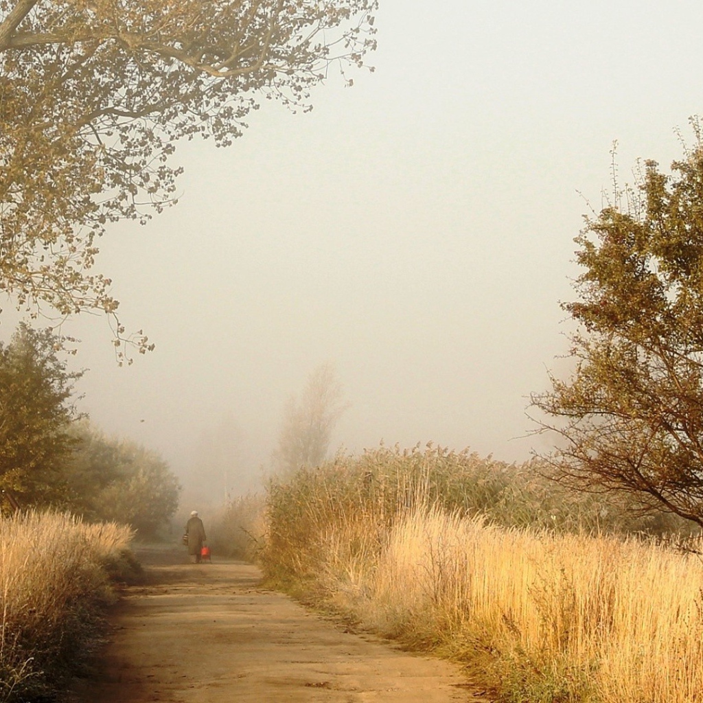 Одинокий человек на дороге