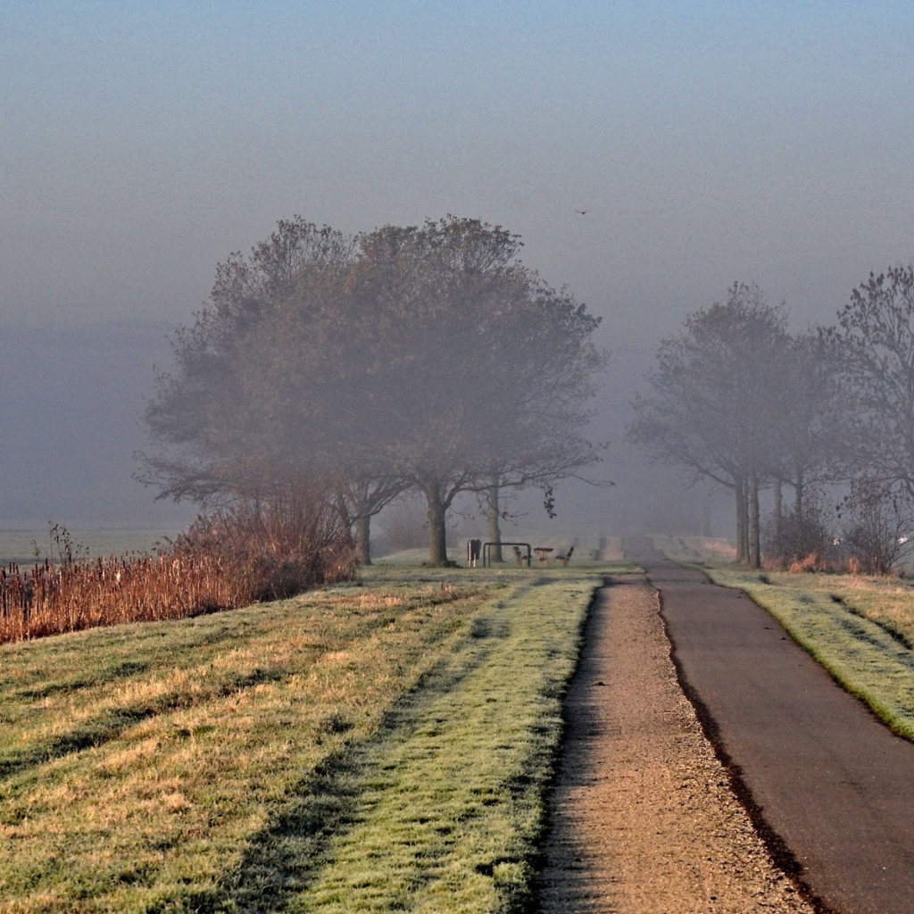 Дорога ведущая в туман