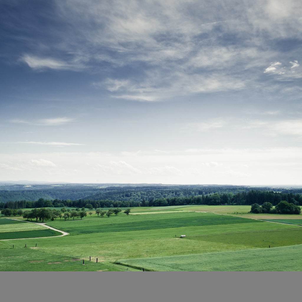Поля и леса до горизонта