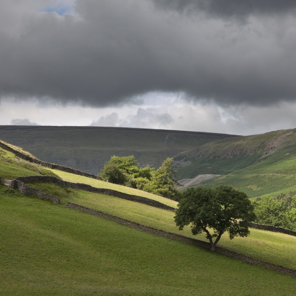 Поля огороженные заборами