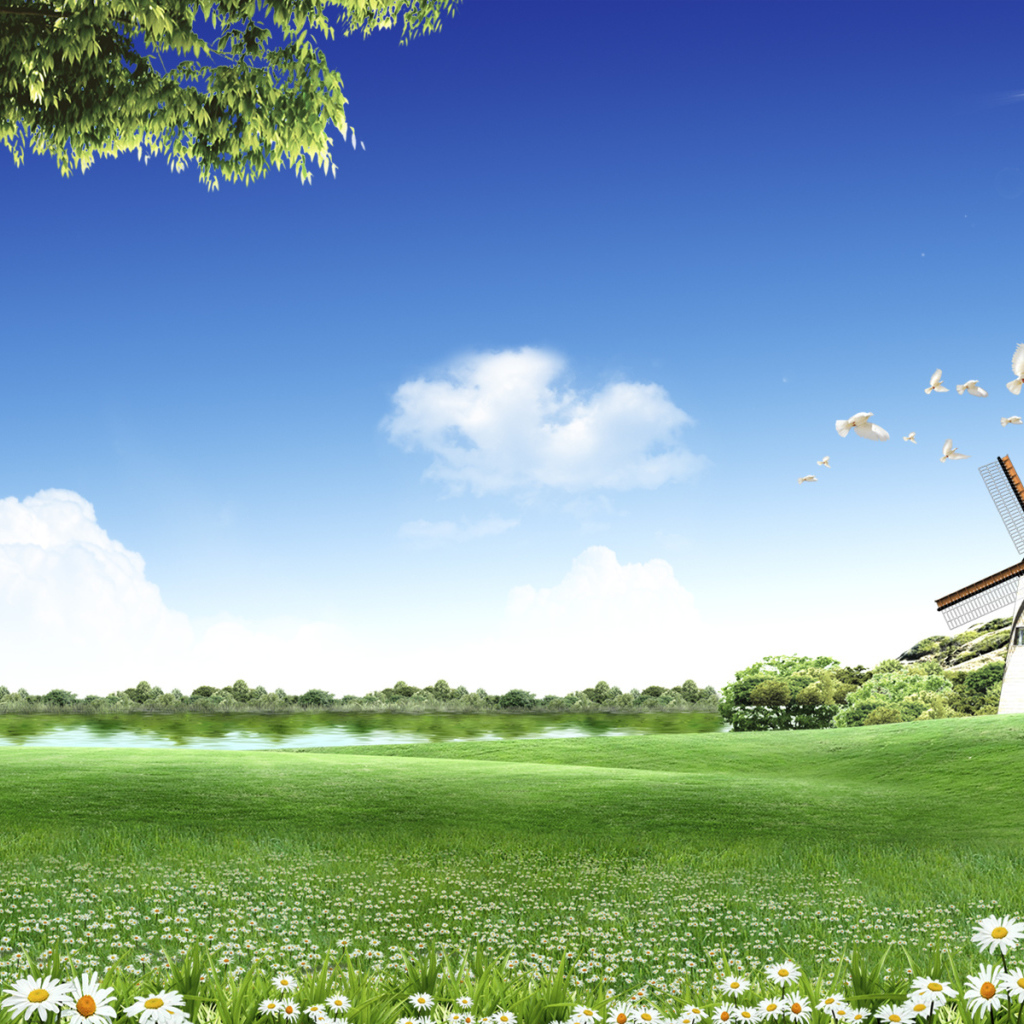 Летний солнечный день на поле