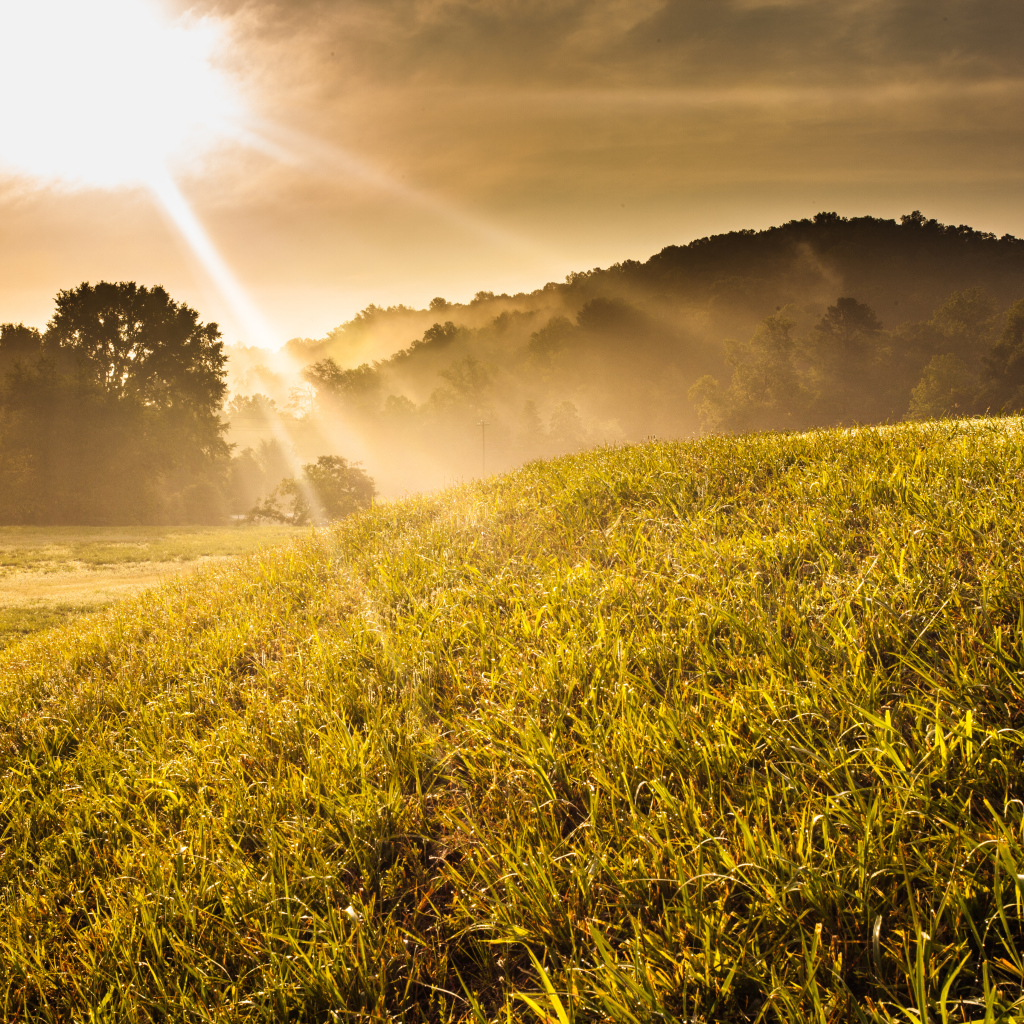 Холм в солнечных лучах