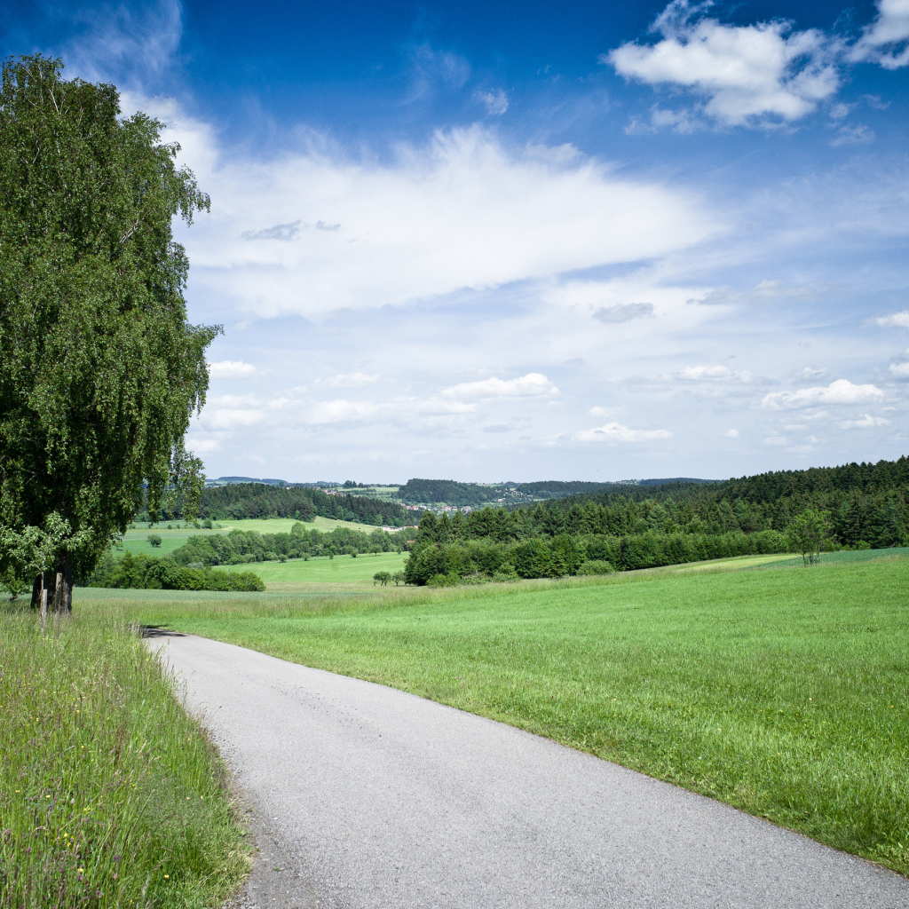 Дорога через поле