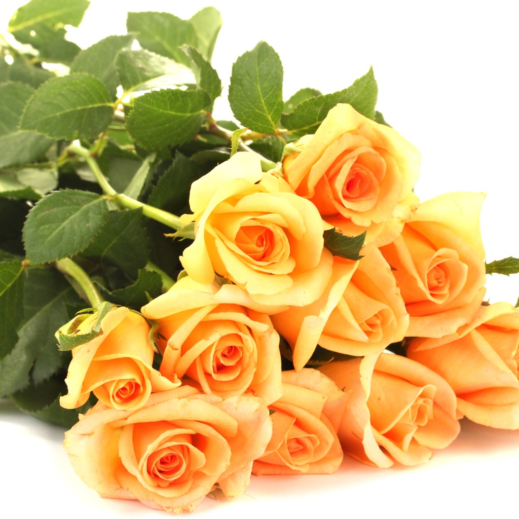 Букет оранжевых роз