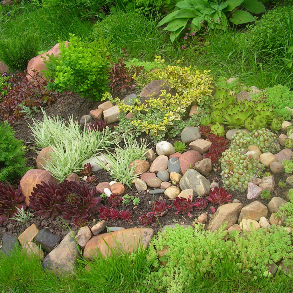 На дачном участке красивая альпийская горка