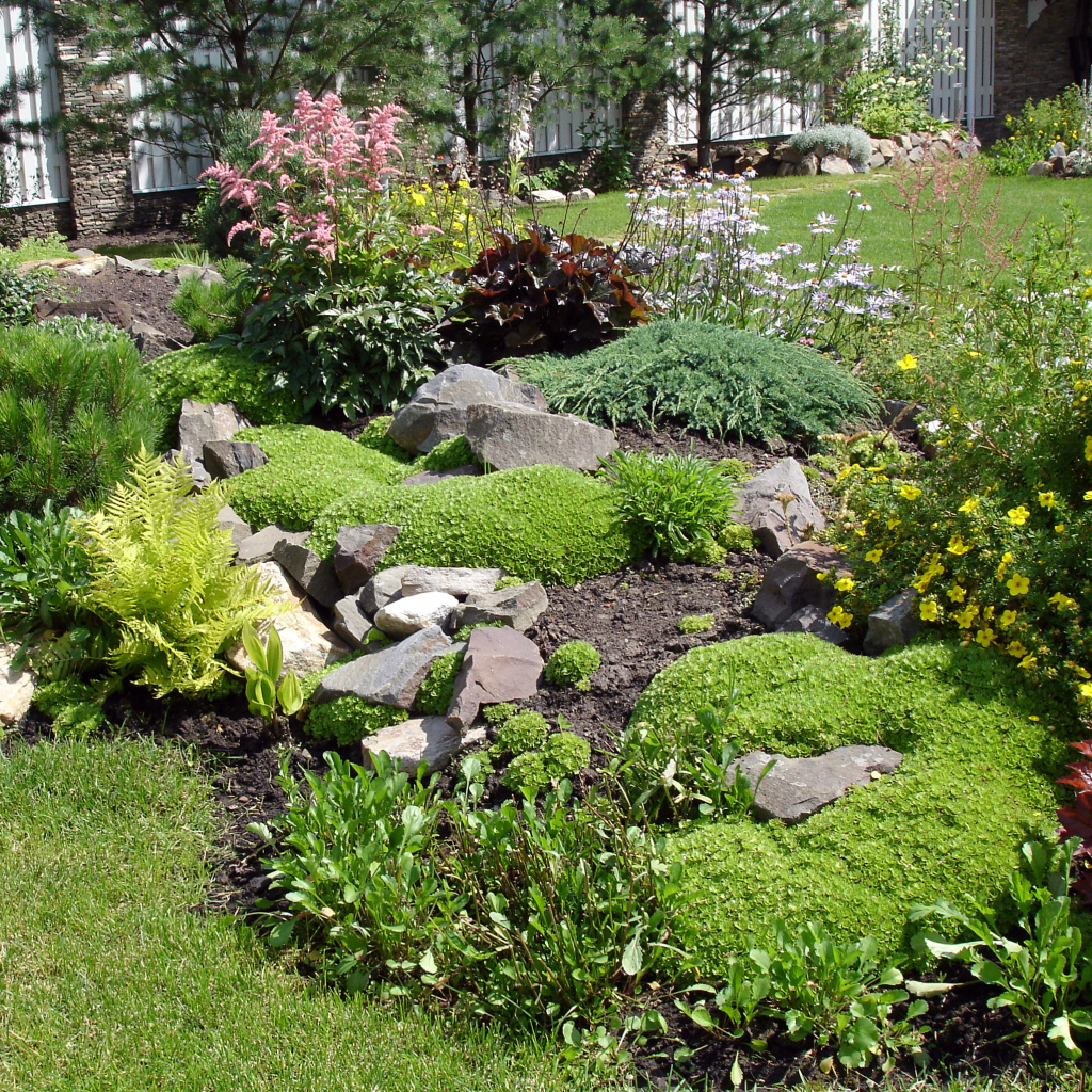 Красивая альпийская горка на дачном участке