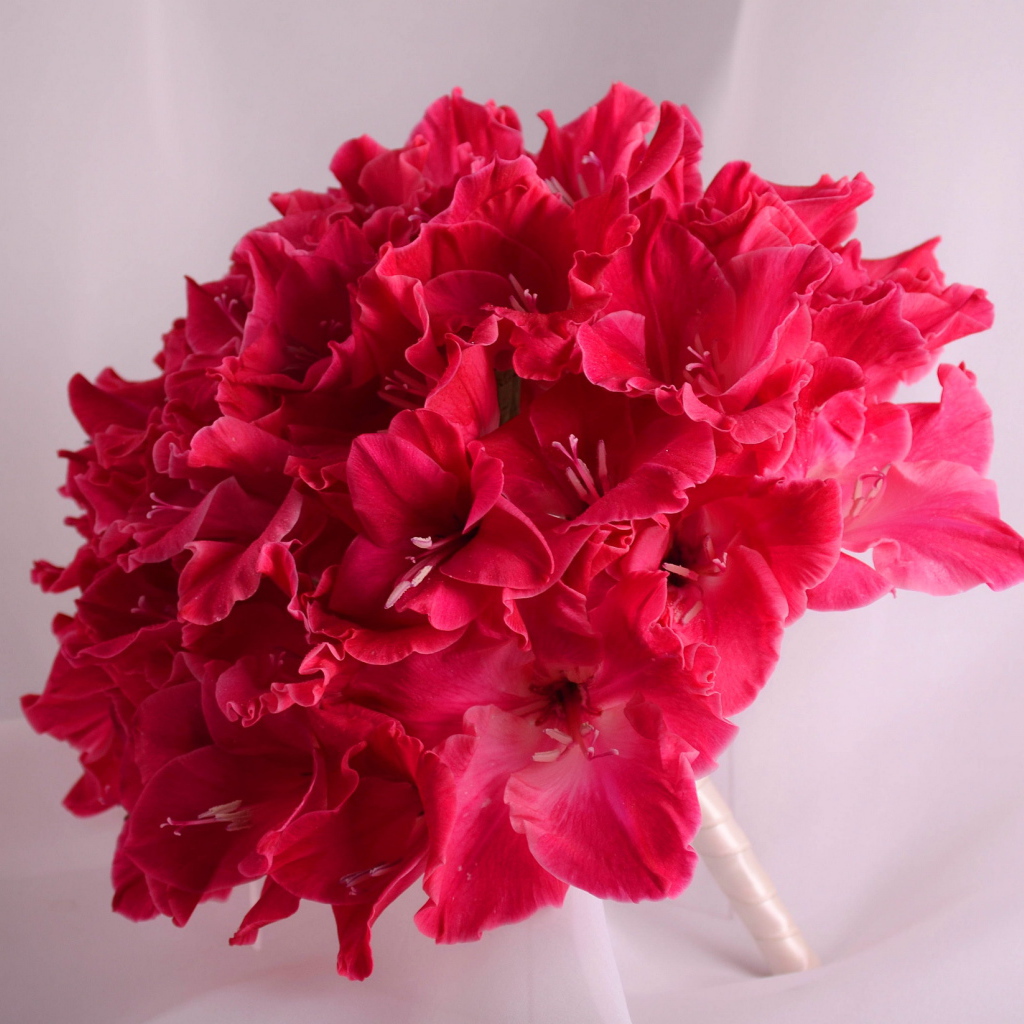 Красивый букет глаидоулс