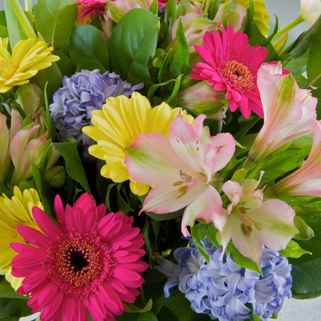 Красивый букет цветов гербера