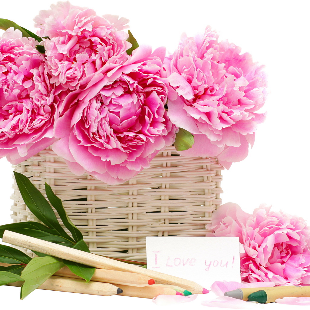 Красивый рисунок цветы пионы