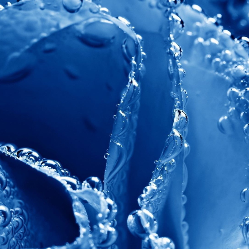 Синяя роза в пузырьках воздуха