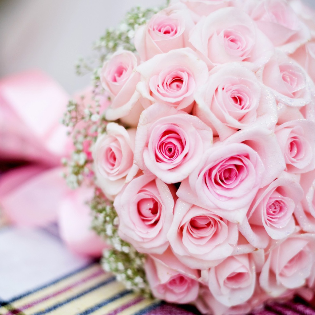 Bouquet of pink roses