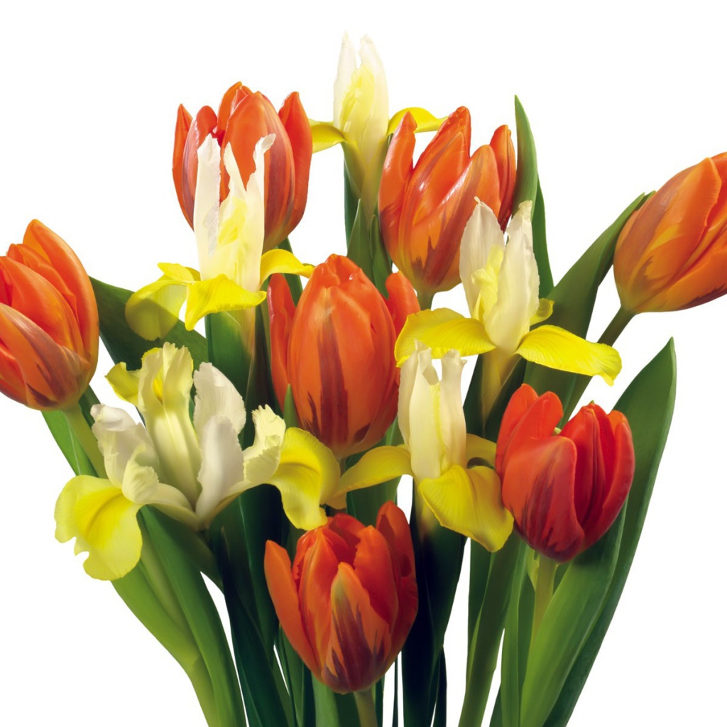 Букет тюльпанов и других цветов