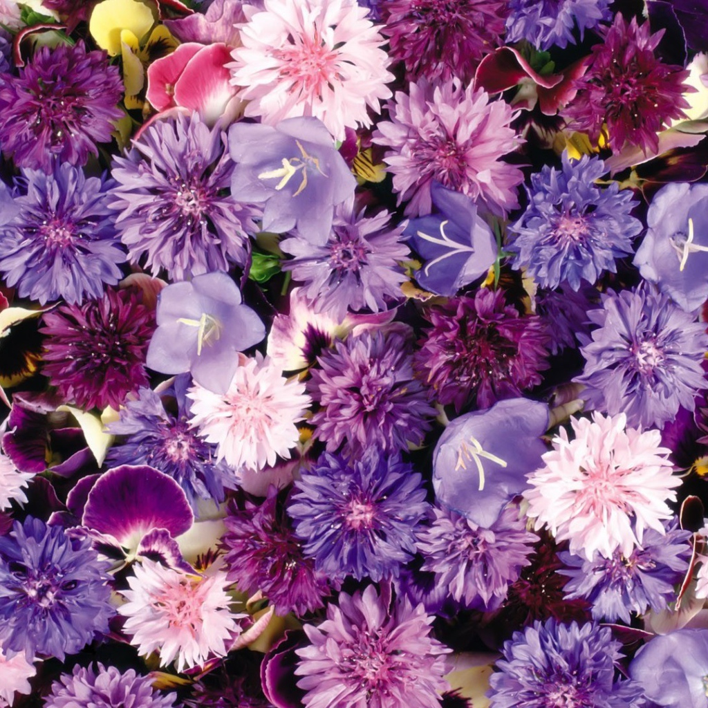 Букет полевых цветов