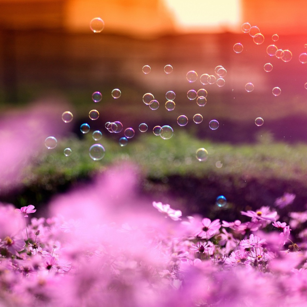 Мыльные пузыри