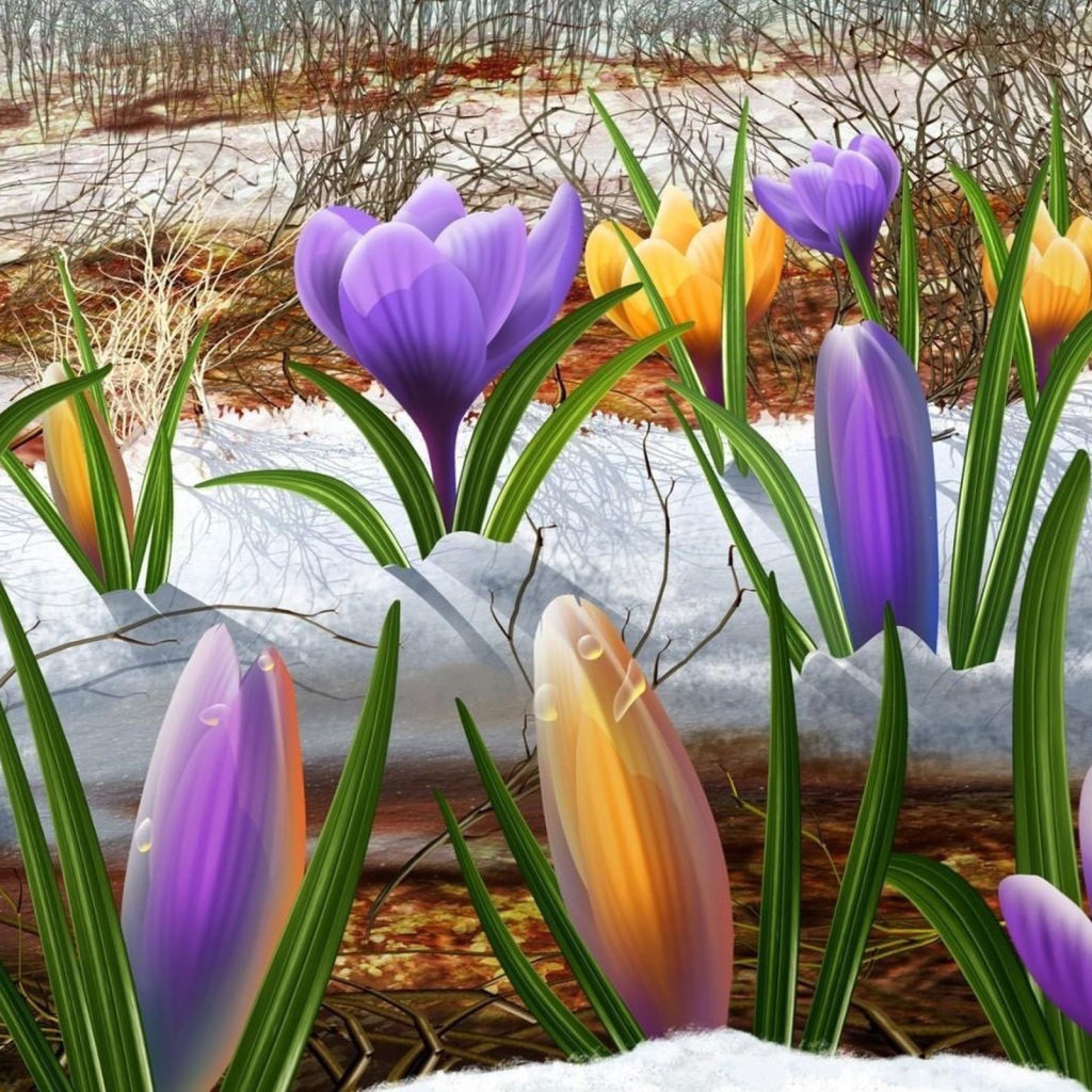 Крокусы на снегу