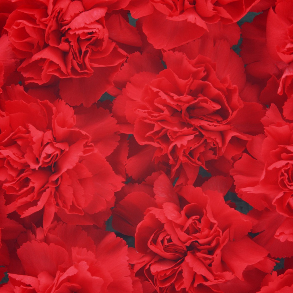 Цветочный фон