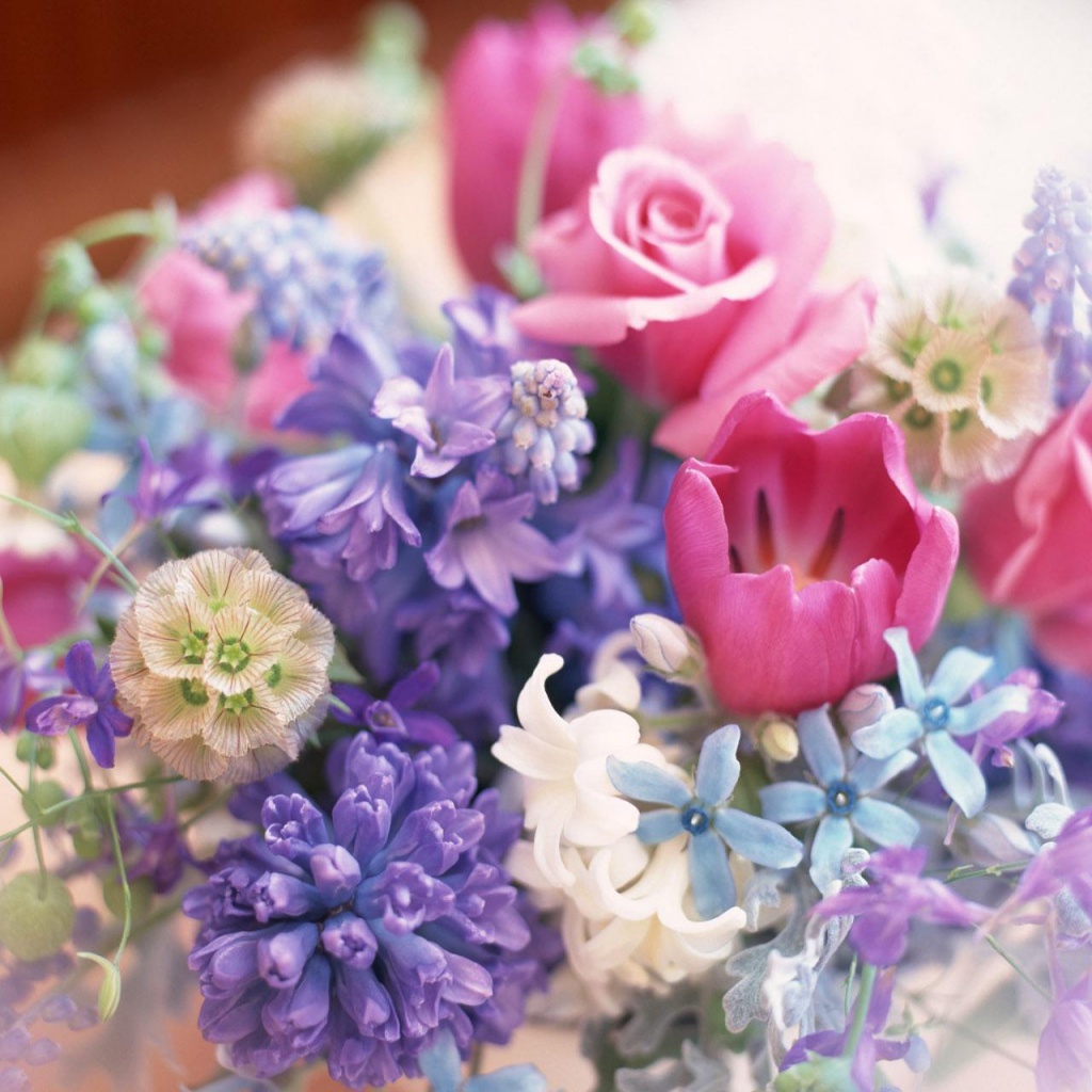 Декоративные цветы